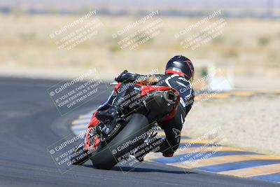 media/May-13-2023-SoCal Trackdays (Sat) [[8a473a8fd1]]/Turn 11 Backside (945am)/